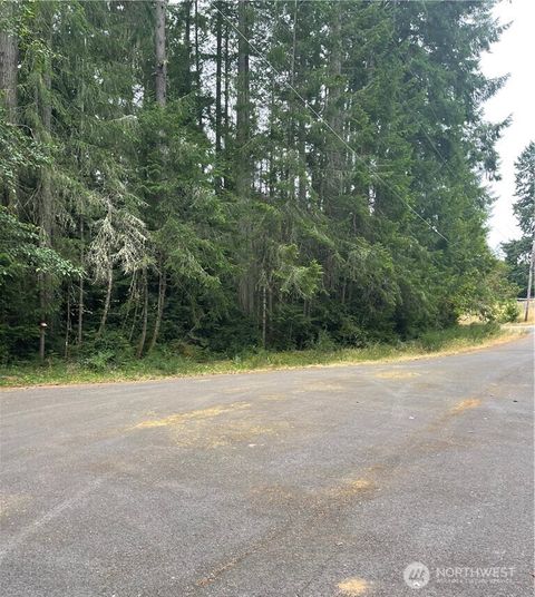 Photo of 12514 93rd Street Ct, Anderson Island, WA 98303 (MLS # 2490026)