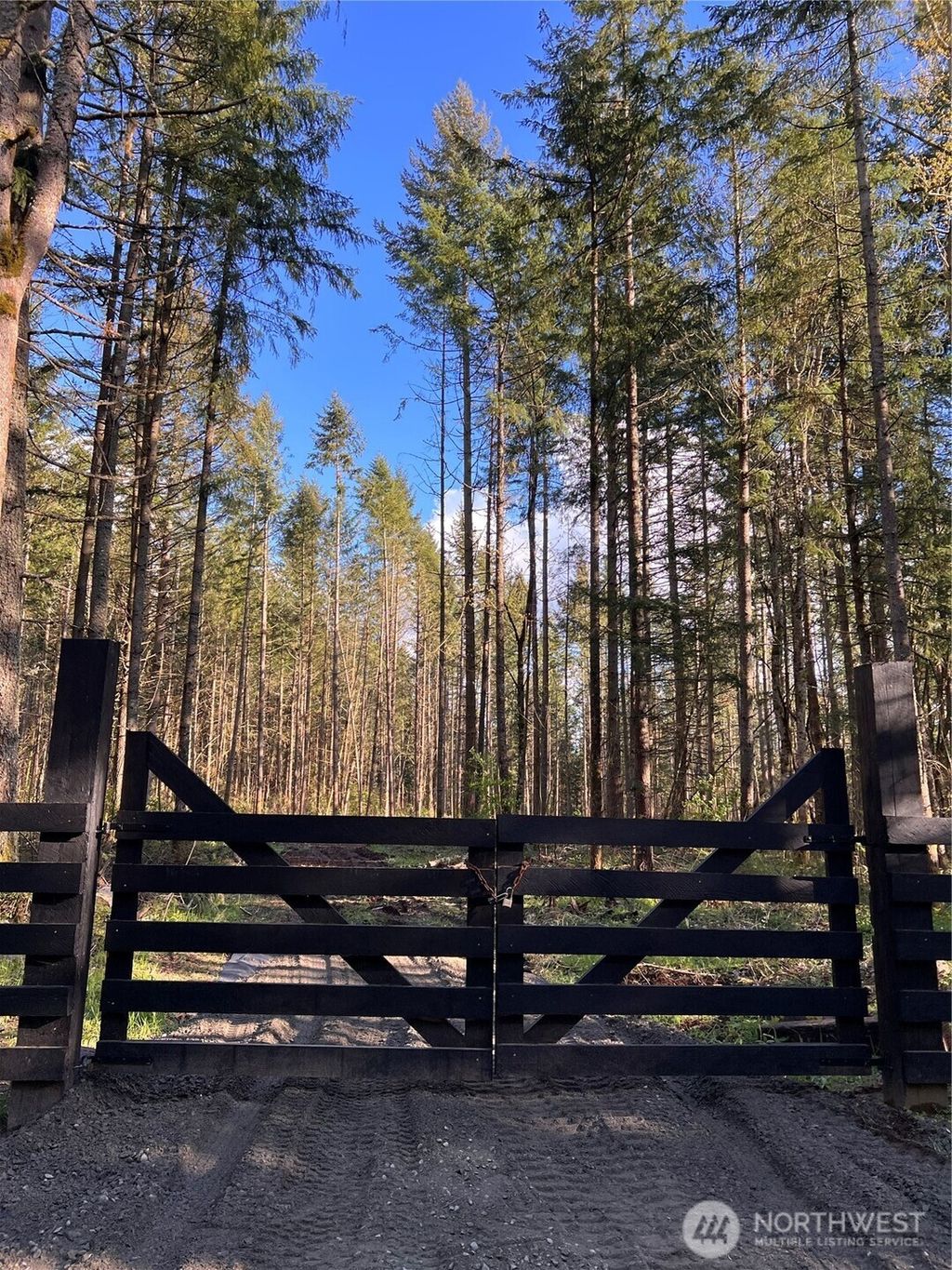 Photo of 18311 Shenandoah Lane SE, Yelm, WA 98597 (MLS # 2506218)