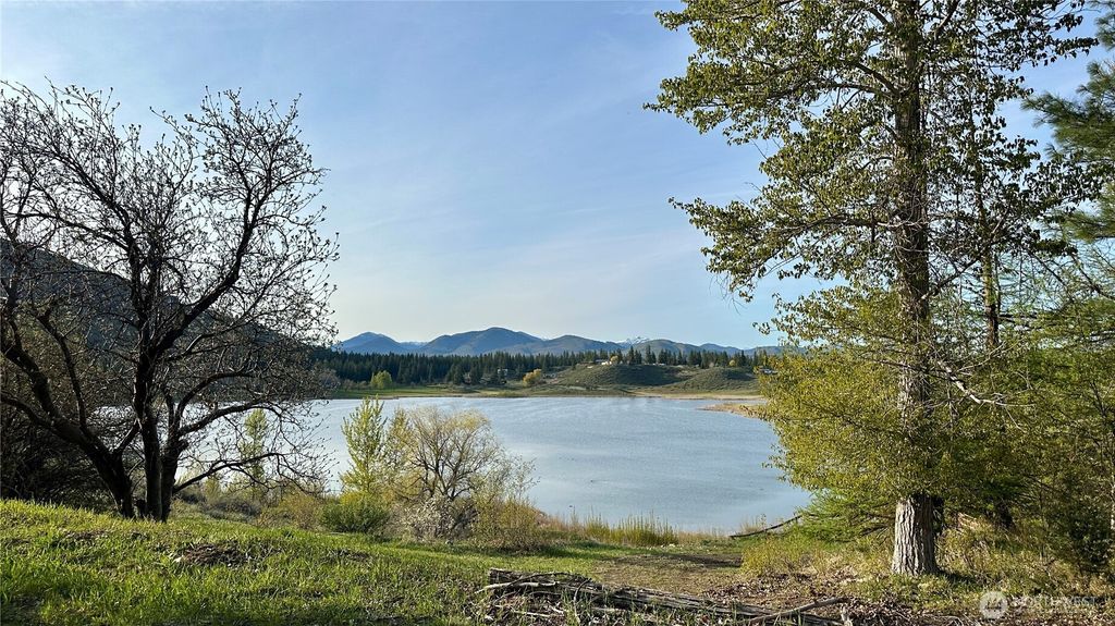 Photo of 132 Twin Lakes Road, Winthrop, WA 98862 (MLS # 2507799)