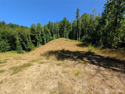 Photo of 0 Stoney Brook Lane, Bellingham, WA 98229 (MLS # 2578711)