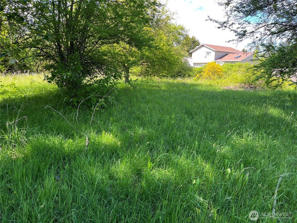 Photo of 201 123rd Street E, Tacoma, WA 98445 (MLS # 2528529)