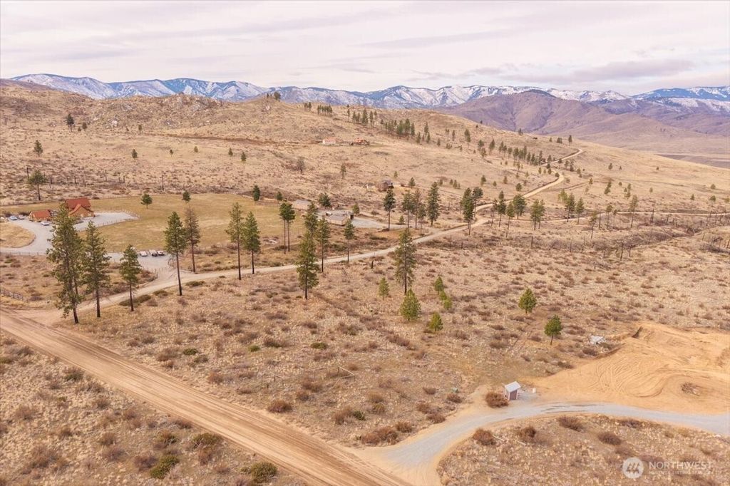 Photo of 817 Bill Shaw Road, Methow, WA 98834 (MLS # 2489429)