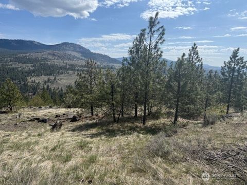 111 W Cayuse Mtn Tonasket WA 98855