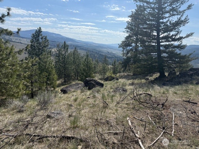 111 W Cayuse Mtn