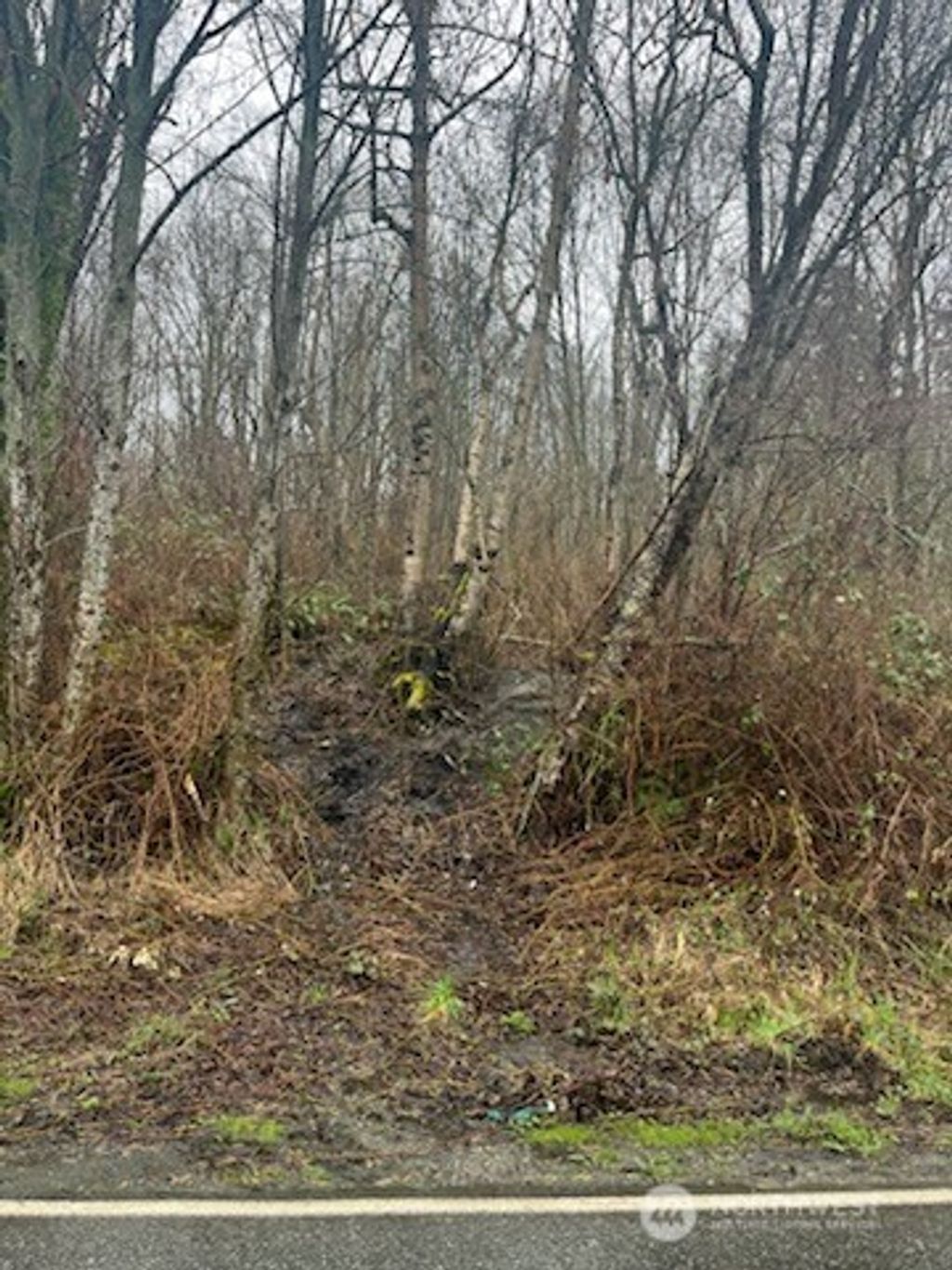 Photo of 13003 67th Avenue NE, Arlington, WA 98223 (MLS # 2498357)