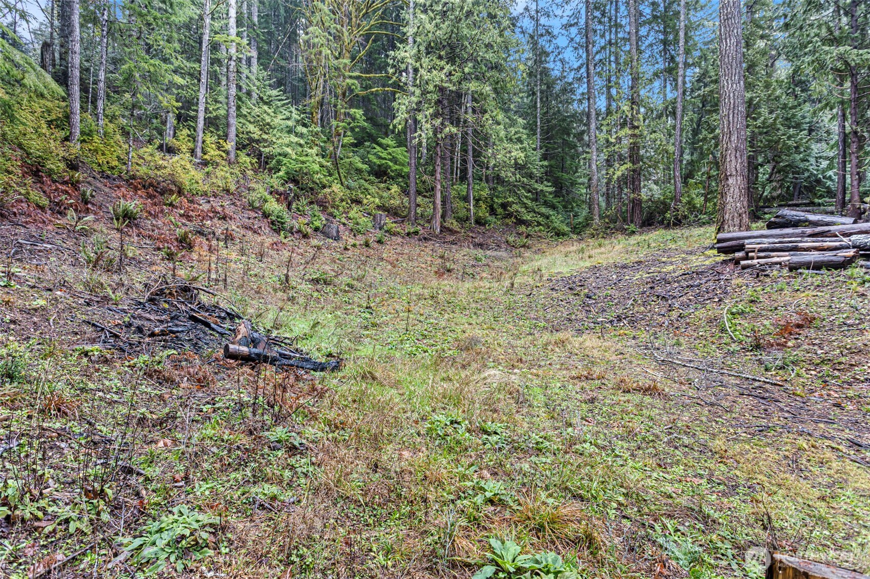 19560 NE North Shore Road