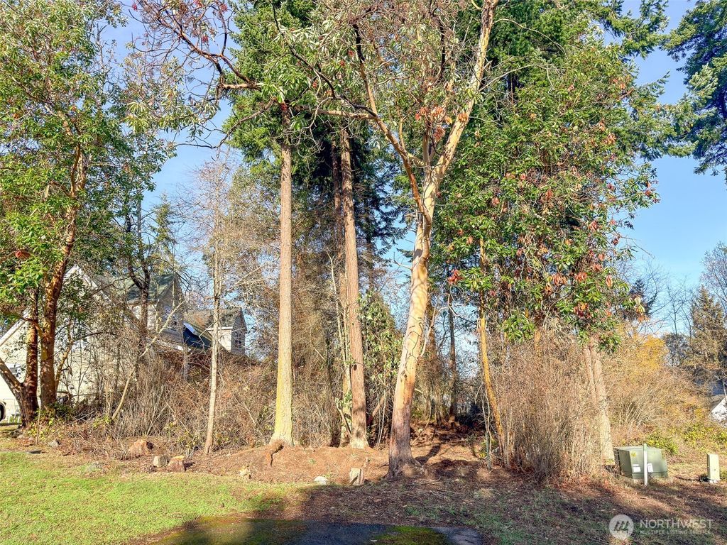 Photo of 0 13th Street Dr, Port Townsend, WA 98368 (MLS # 2458063)