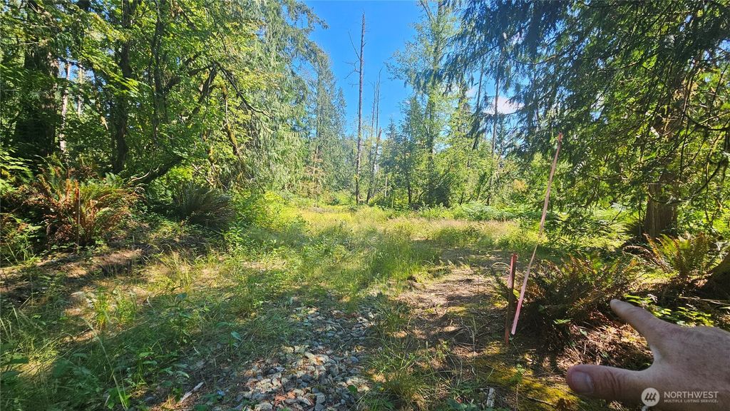 Photo of 11000 138th Street NE, Arlington, WA 98223 (MLS # 2553647)