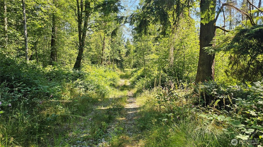 Photo of 11000 138th Street NE, Arlington, WA 98223 (MLS # 2553647)