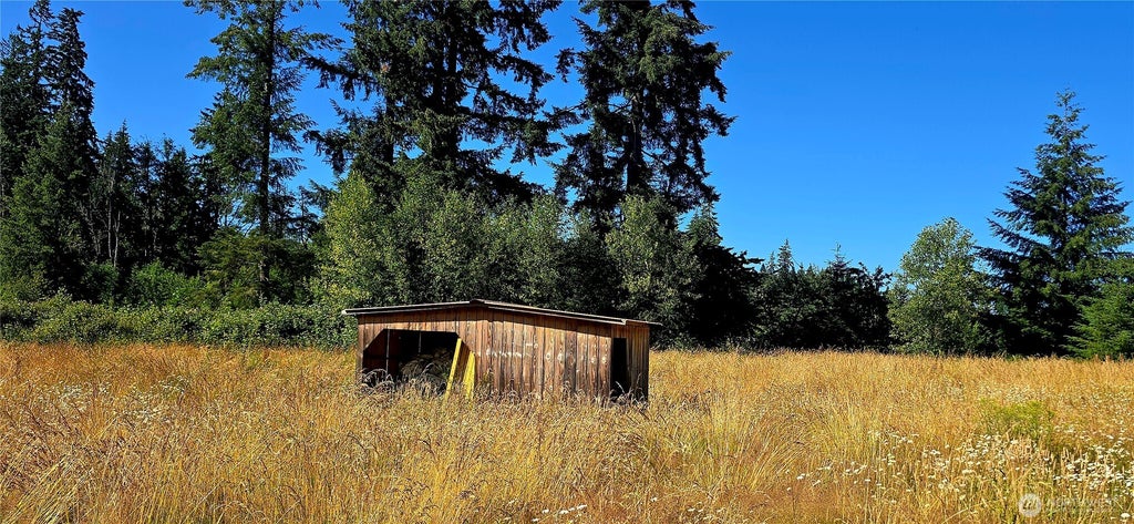 Photo of 413 Manners Road, Rochester, WA 98579 (MLS # 2555158)