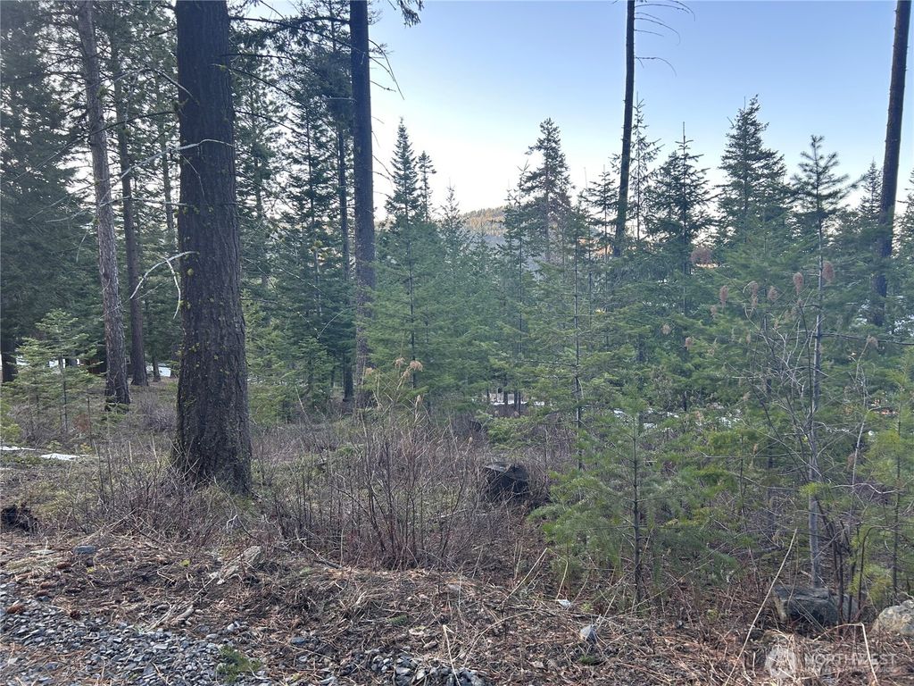 Photo of 6761 Forest Ridge Drive, Wenatchee, WA 98801 (MLS # 2548487)