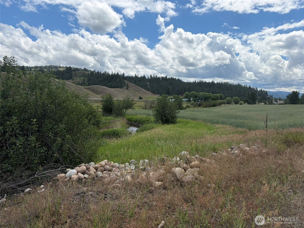 Photo of 1 TBD Lundimo Meadows Tract 1 RD, Curlew, WA 99118 (MLS # 2548602)