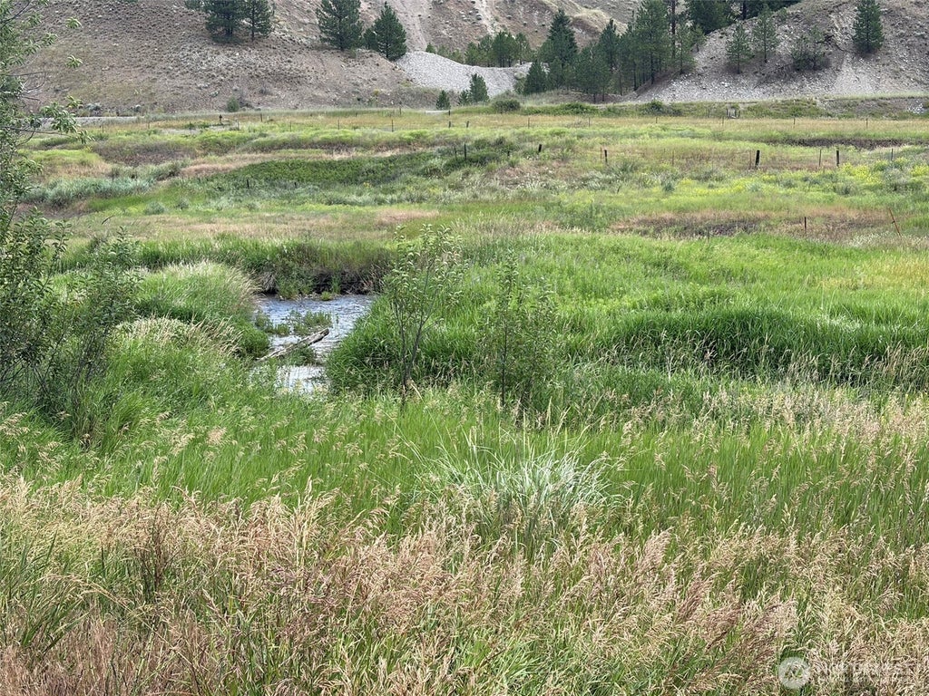 Photo of 1 TBD Lundimo Meadows Tract 1 RD, Curlew, WA 99118 (MLS # 2548602)