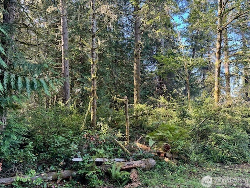 Photo of 12408 93rd Street, Anderson Island, WA 98303 (MLS # 2517826)