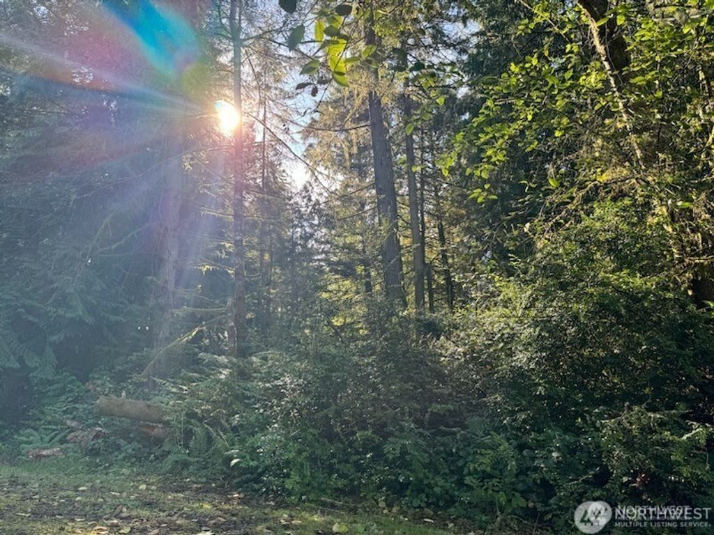 Photo of 12408 93rd Street, Anderson Island, WA 98303 (MLS # 2517826)