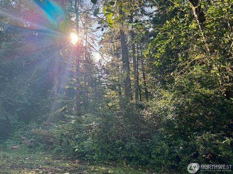 Photo of 12408 93rd Street, Anderson Island, WA 98303 (MLS # 2517826)