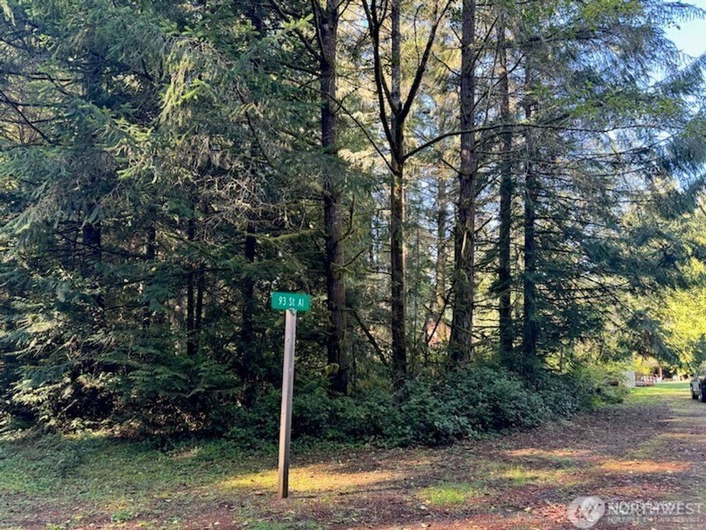 Photo of 12408 93rd Street, Anderson Island, WA 98303 (MLS # 2517826)