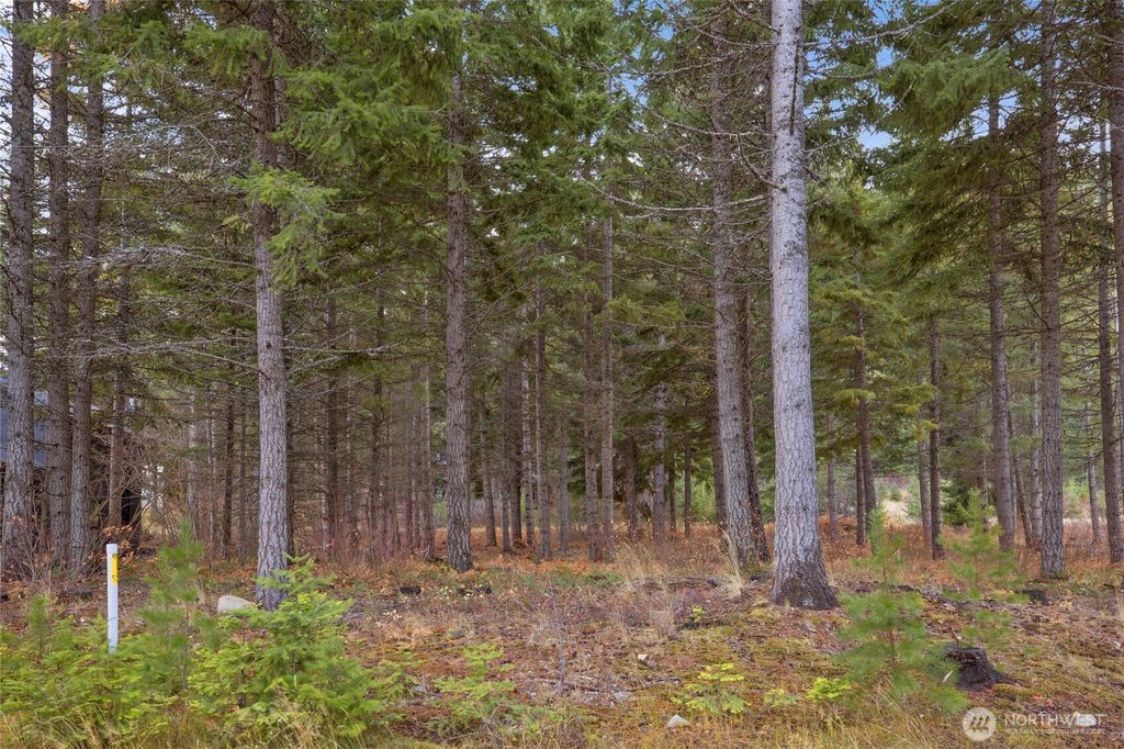 Photo of 230 Goat Creek Lane, Cle Elum, WA 98922 (MLS # 2496001)