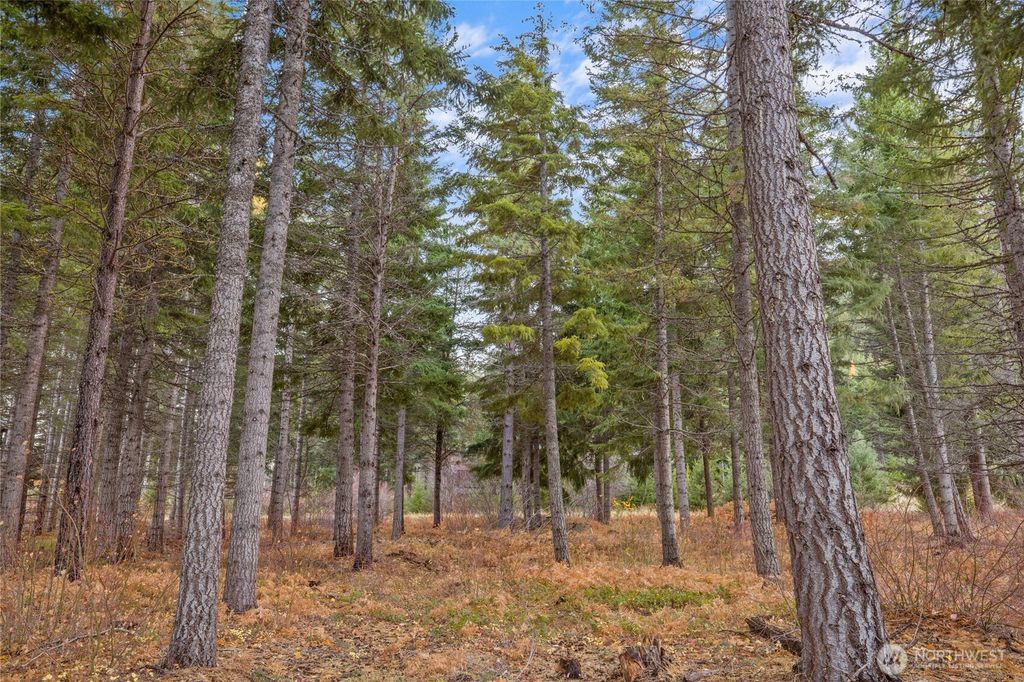 Photo of 230 Goat Creek Lane, Cle Elum, WA 98922 (MLS # 2496001)