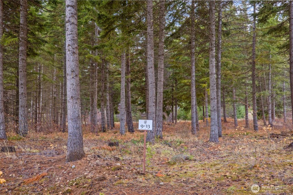 Photo of 230 Goat Creek Lane, Cle Elum, WA 98922 (MLS # 2496001)