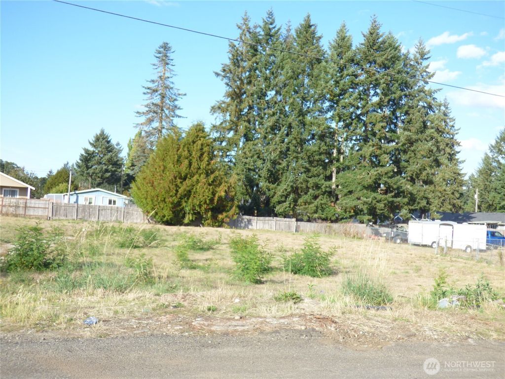 Photo of 239 170th Street E, Spanaway, WA 98387 (MLS # 2443070)