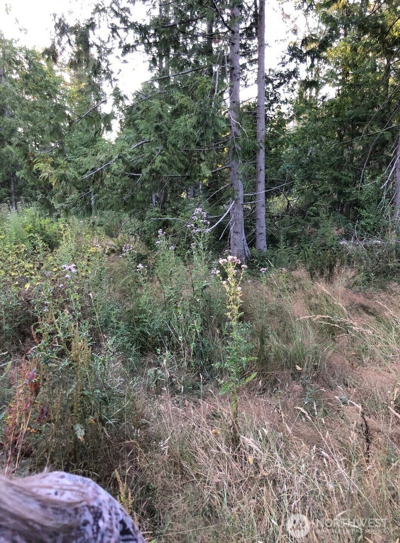 121 N Bagley Creek Road