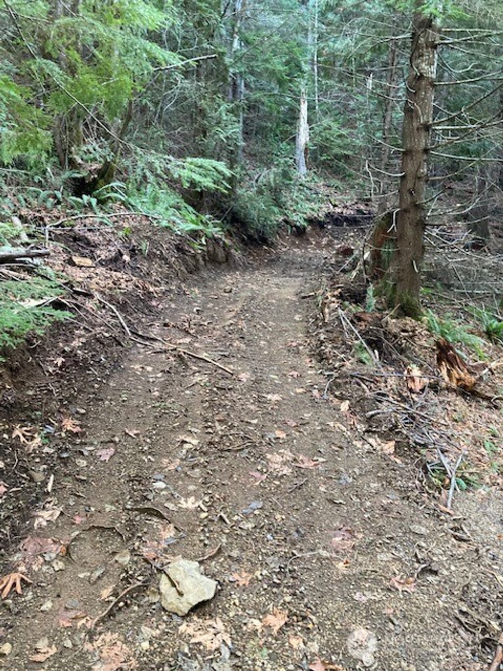 Photo of 0 N Dow Ridge Road, Hoodsport, WA 98548 (MLS # 2477823)