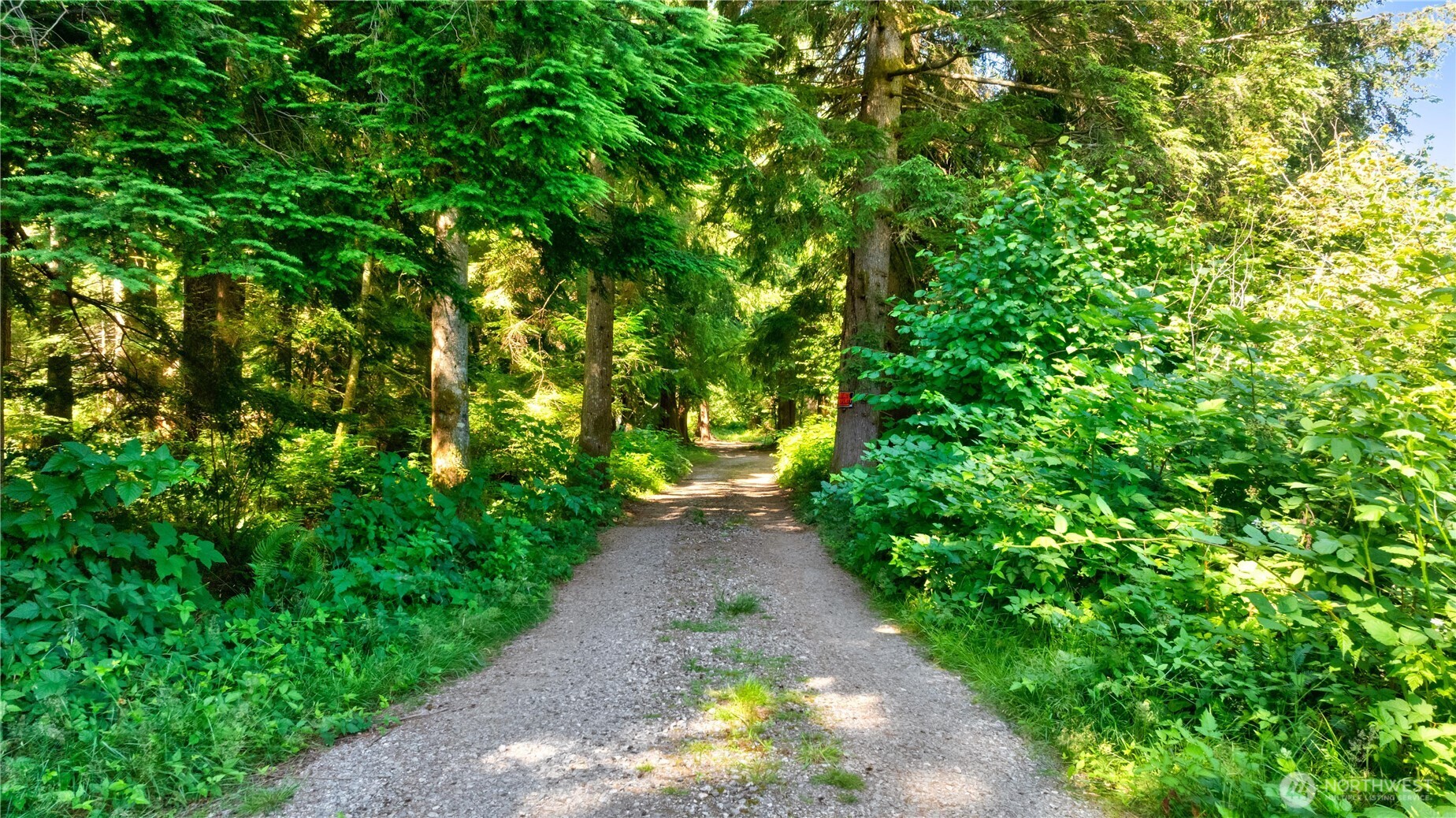 15528 May Creek Road