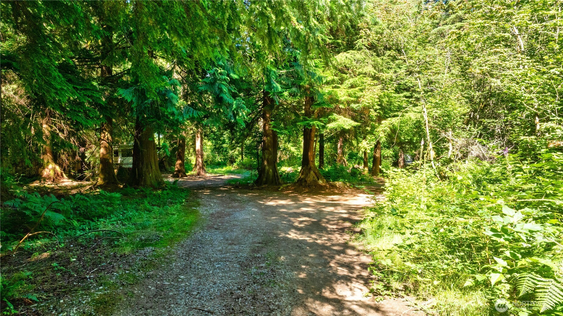 15528 May Creek Road
