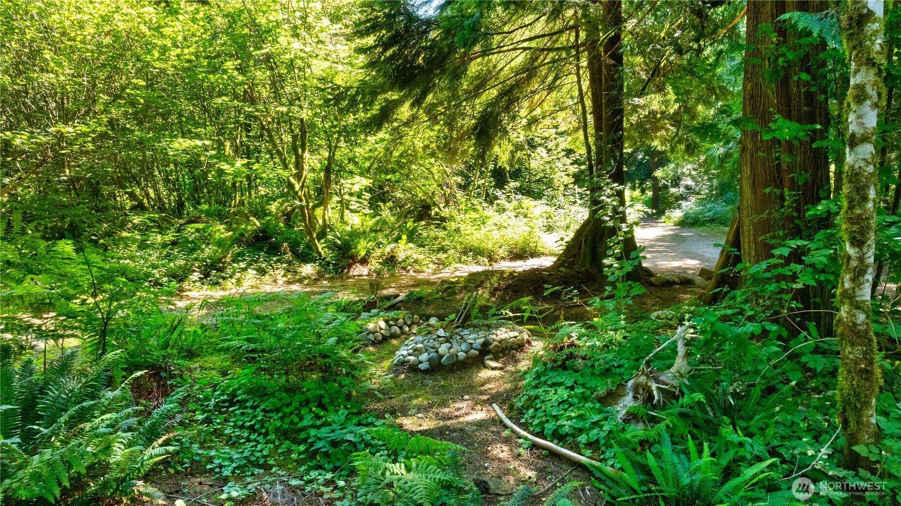 15528 May Creek Road