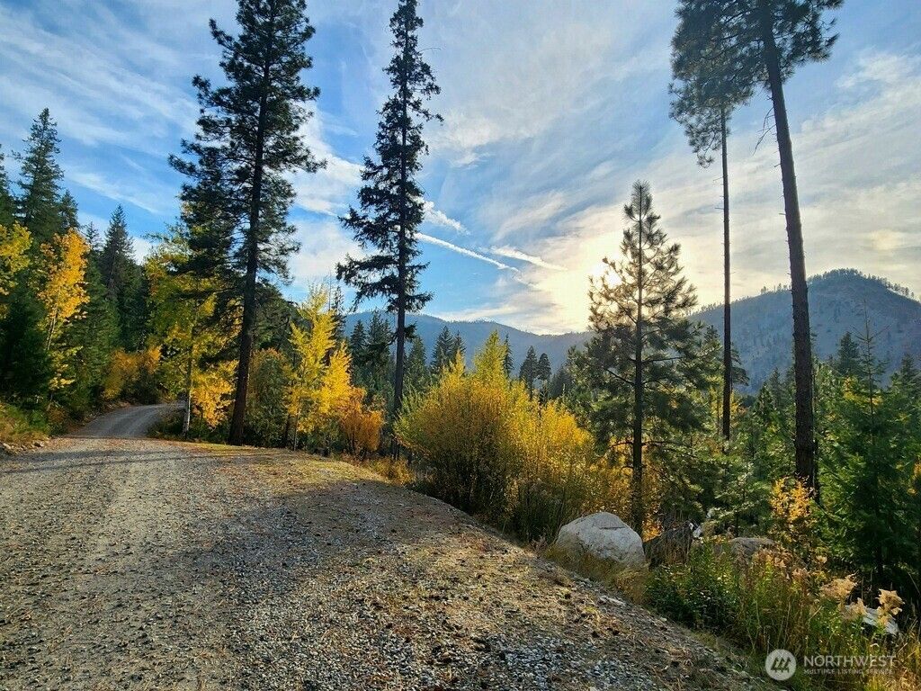 Photo of 0 Entiat River Rd, Entiat, WA 98822 (MLS # 2481418)