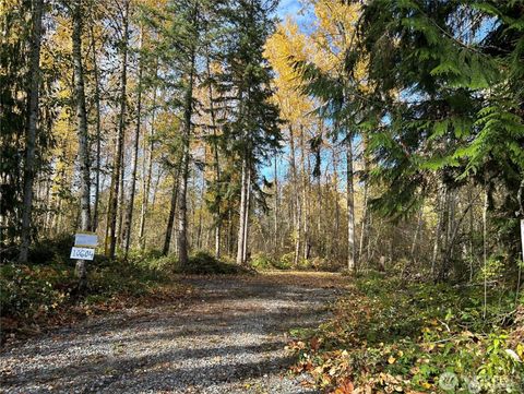 Photo of 10604 258th Ave Ave E, Buckley, WA 98321 (MLS # 2528705)