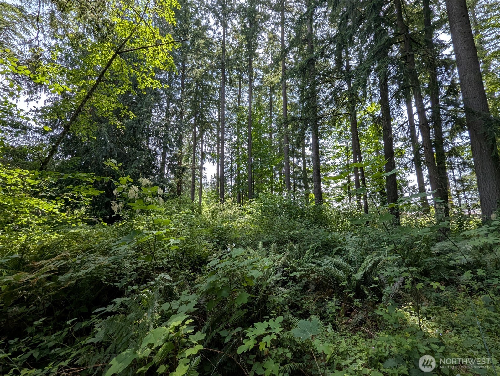 4522 Intelco Loop SE