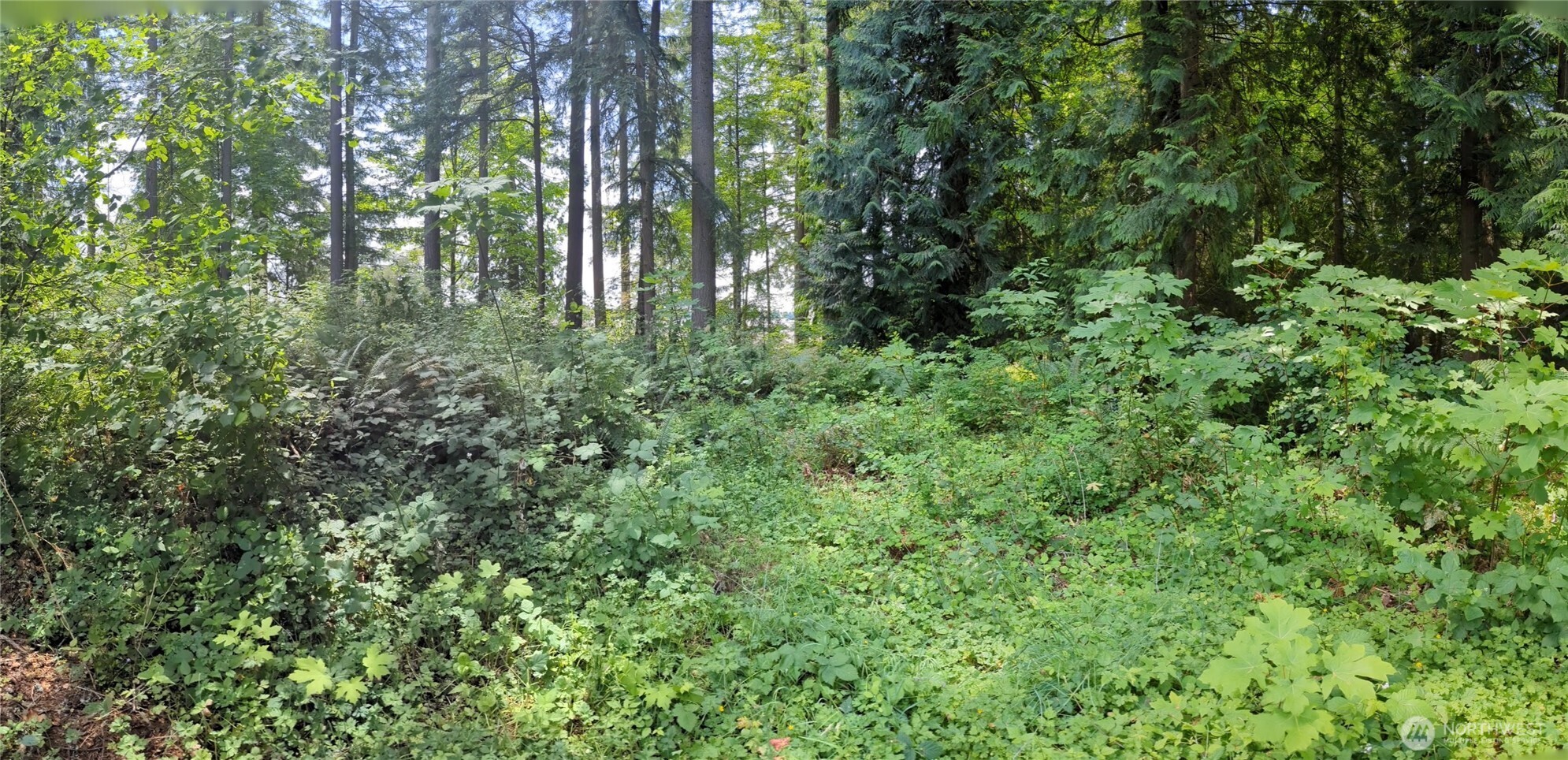 4522 Intelco Loop SE