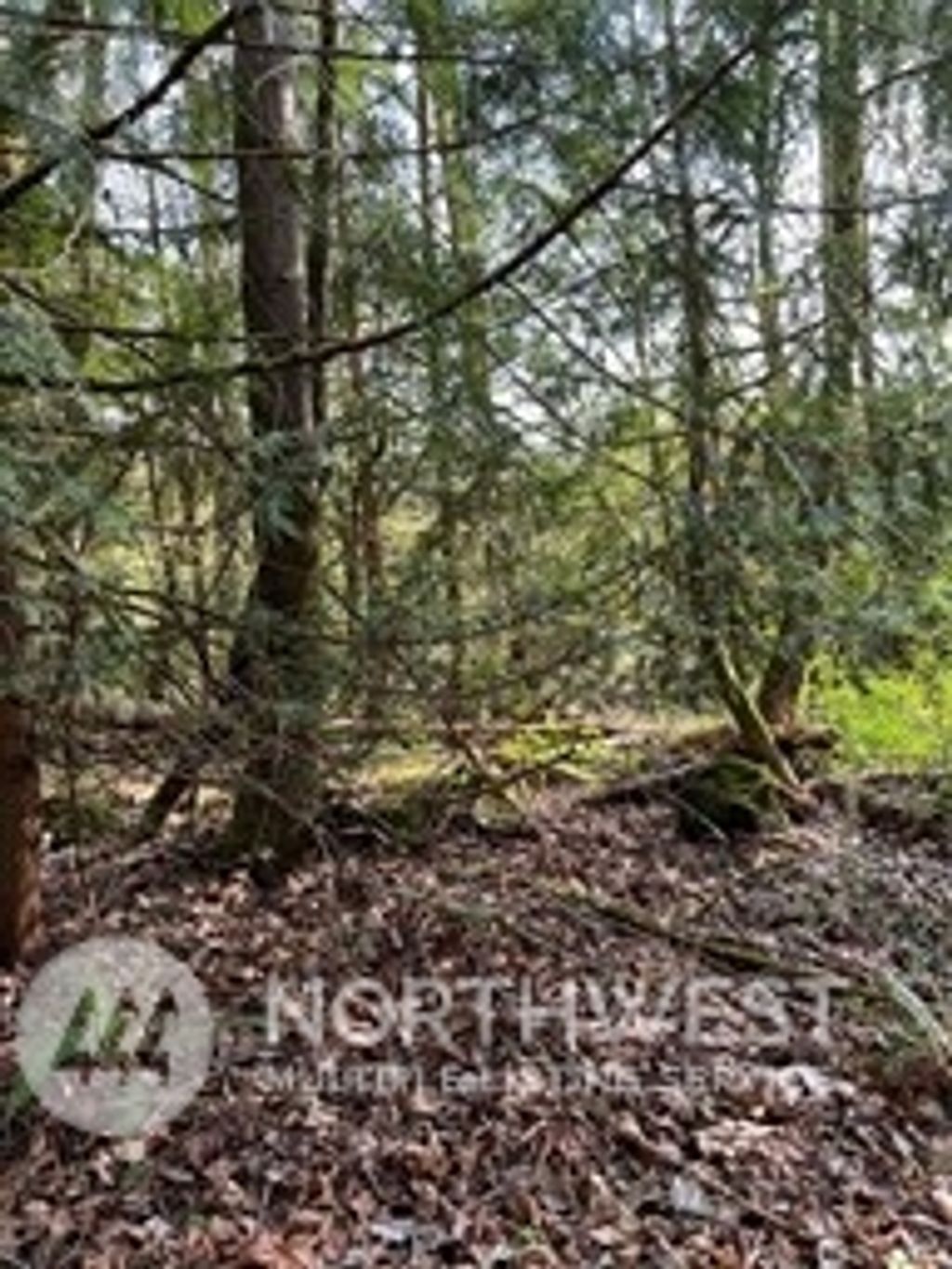 Photo of 11912 198th Avenue SE, Issaquah, WA 98027 (MLS # 2322445)