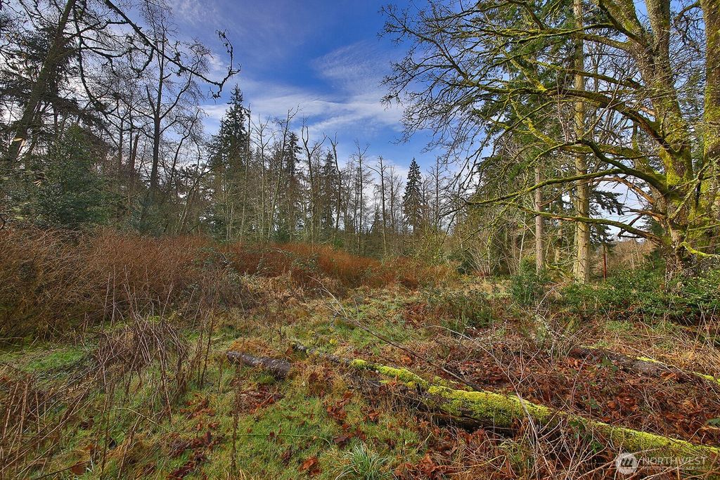 Photo of 0 Goss Lake Road, Freeland, WA 98249 (MLS # 2478591)