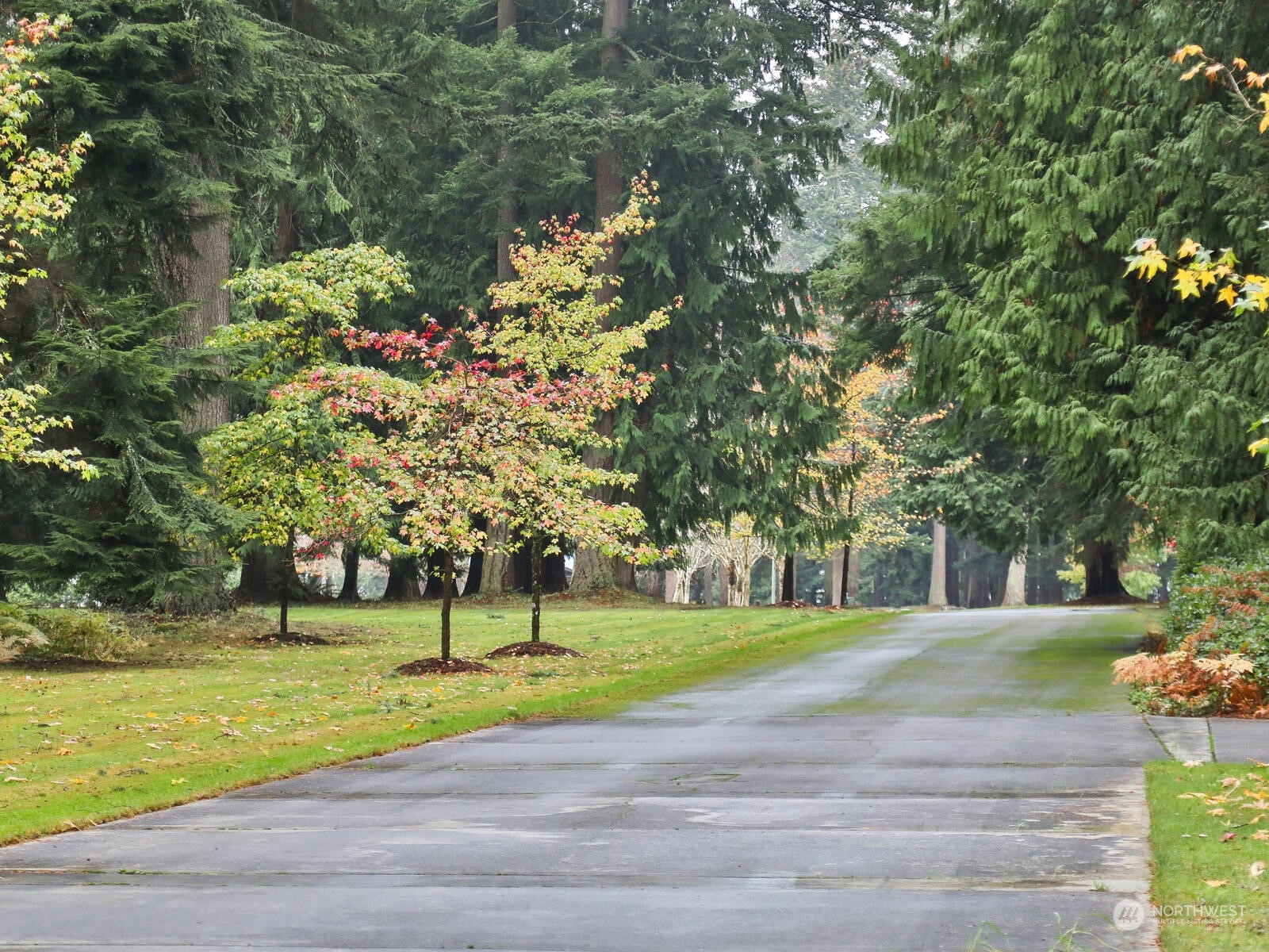 1865 Crestwood Cove Court