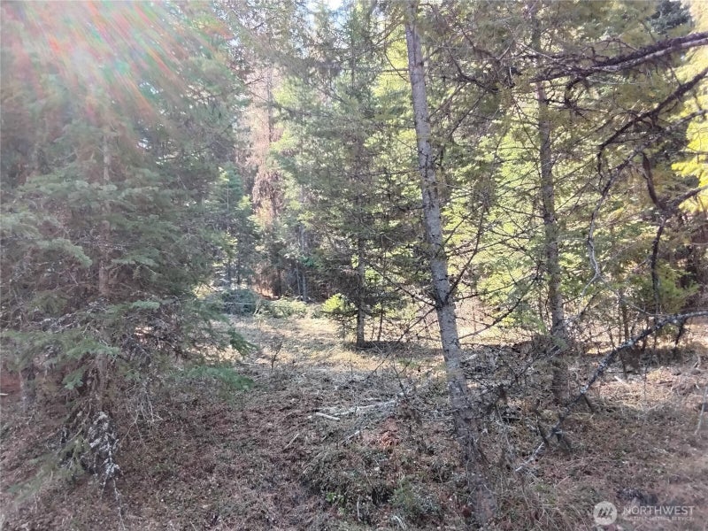 44 Trapline Loop Road
