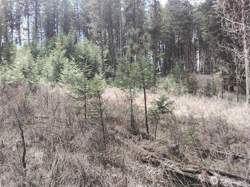 44 Trapline Loop Road