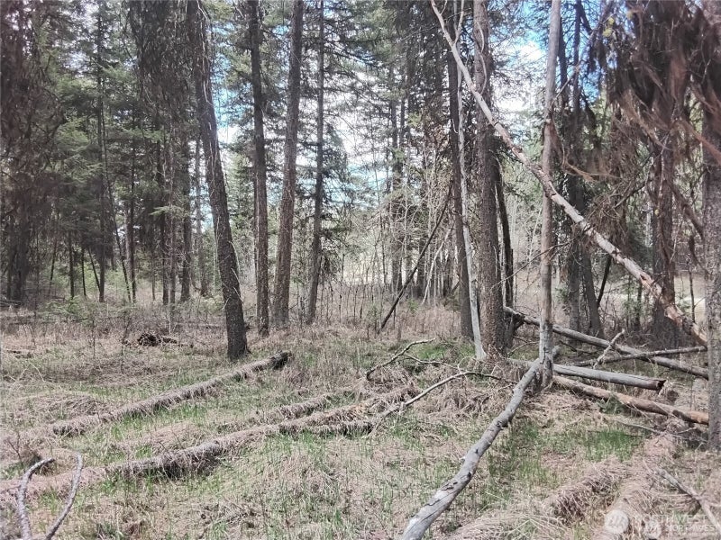 44 Trapline Loop Road