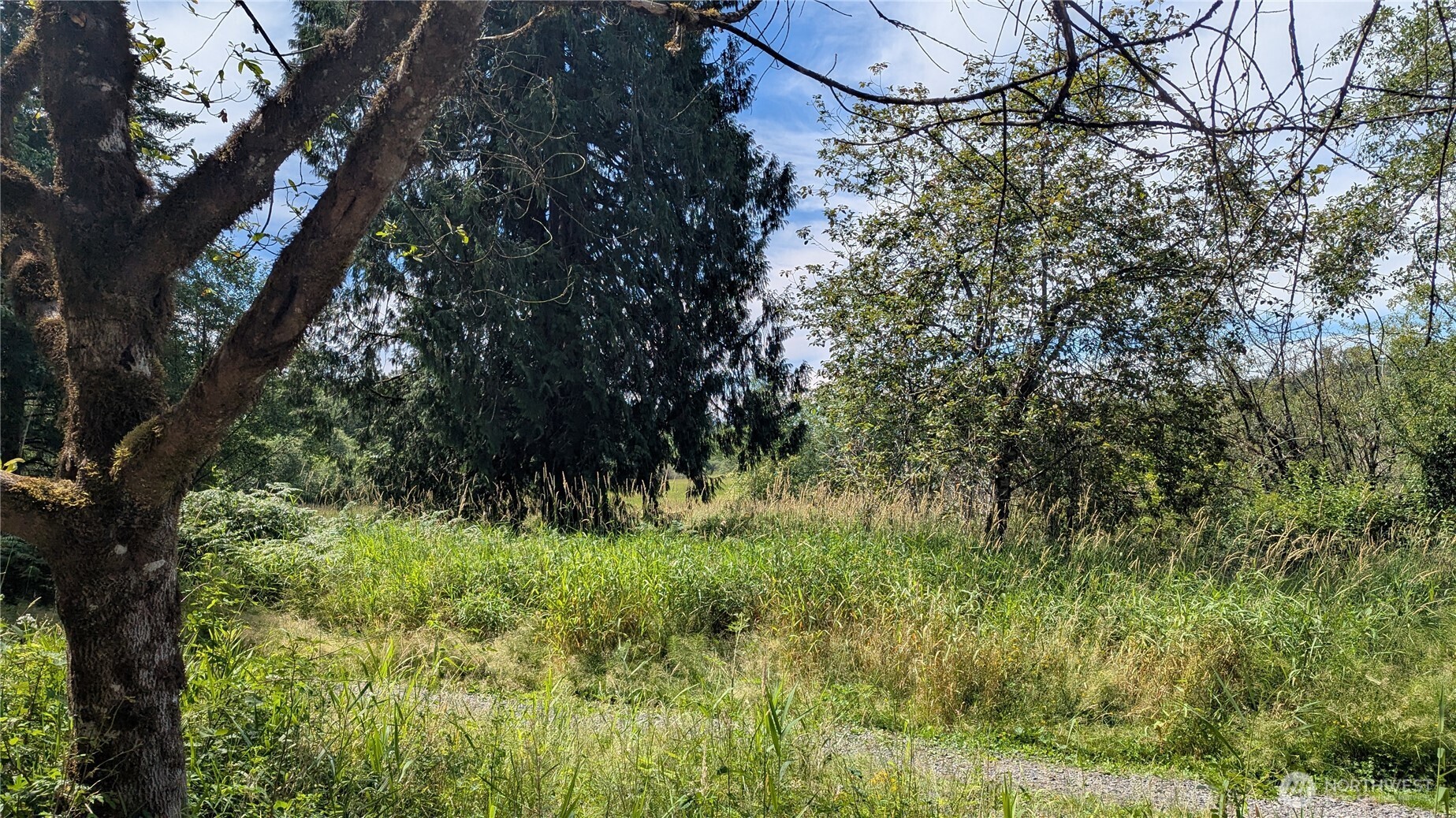 196 Jensen Road