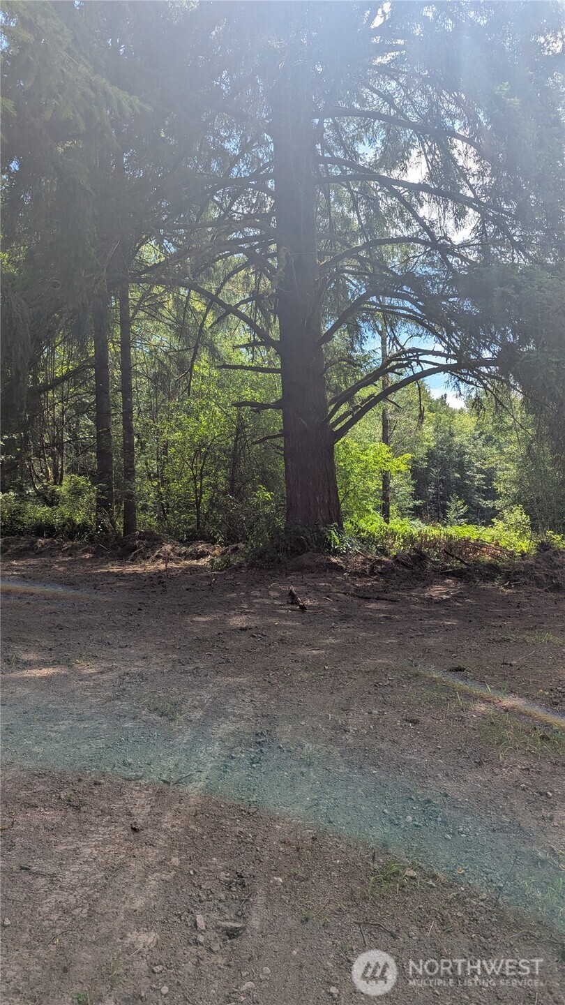 196 Jensen Road