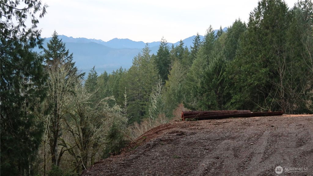 Photo of 1111 Capstan Rock RD Road, Tahuya, WA 98588 (MLS # 2461103)