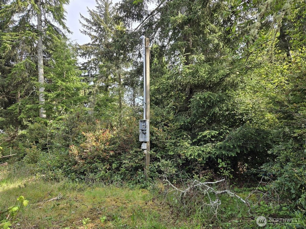Photo of 27312 W Street, Ocean Park, WA 98640 (MLS # 2523274)