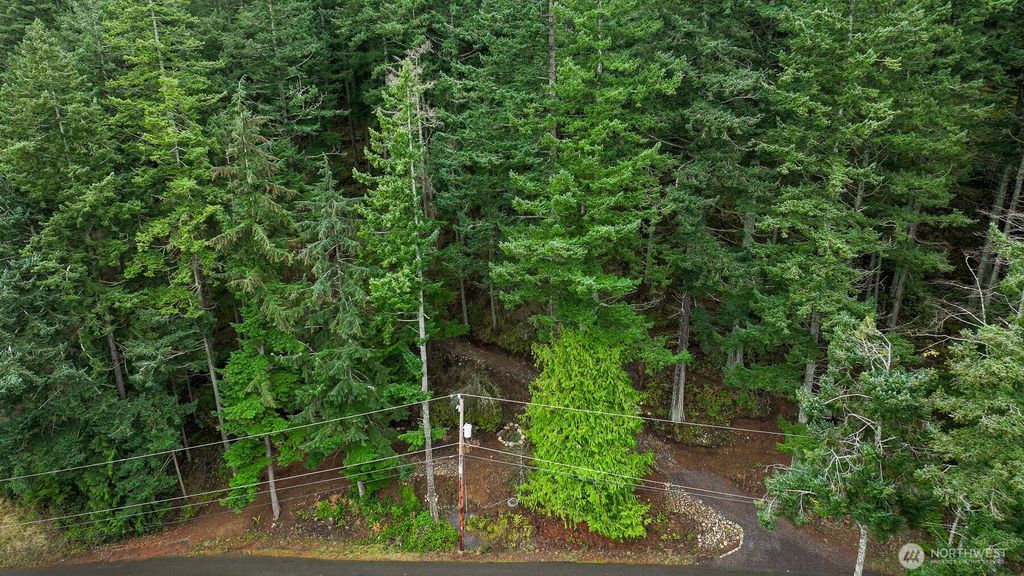 Photo of 3071 3073 Hales Passage Drive, Lummi Island, WA 98262 (MLS # 2490421)