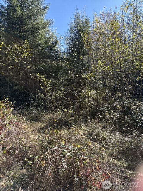 Photo of 0 219th Avenue SW, Rochester, WA 98531 (MLS # 2440137)