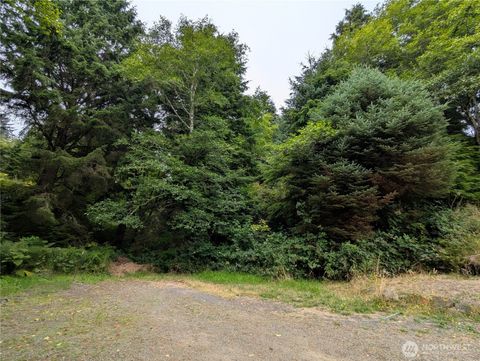 Photo of 0 LOT 14 Lamontay Place, Ilwaco, WA 98624 (MLS # 2415945)