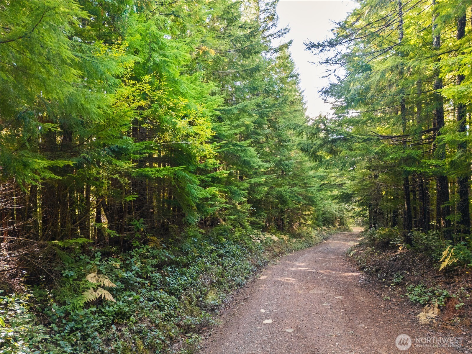 1350 N Hilltop Loop Road