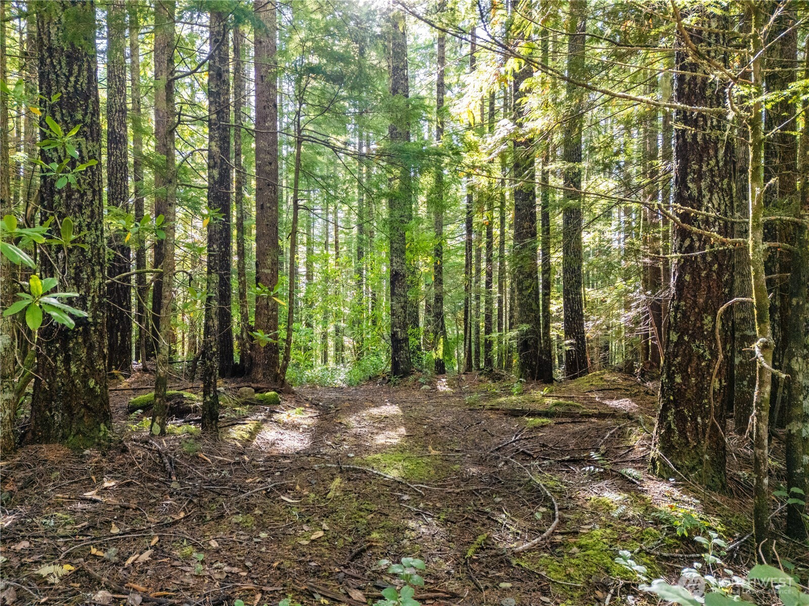 1350 N Hilltop Loop Road