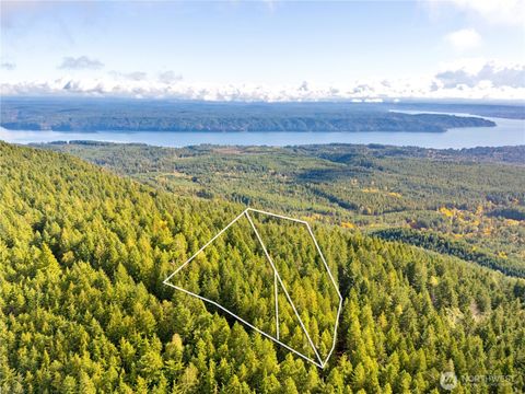 1350 N Hilltop Loop Road Hoodsport WA 98548